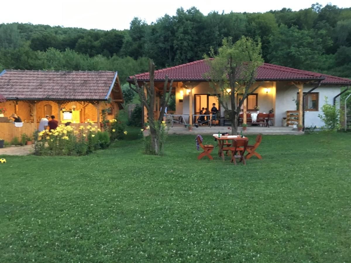 Дома для отпуска Căsuța de sub pădure Ampoiţa-4