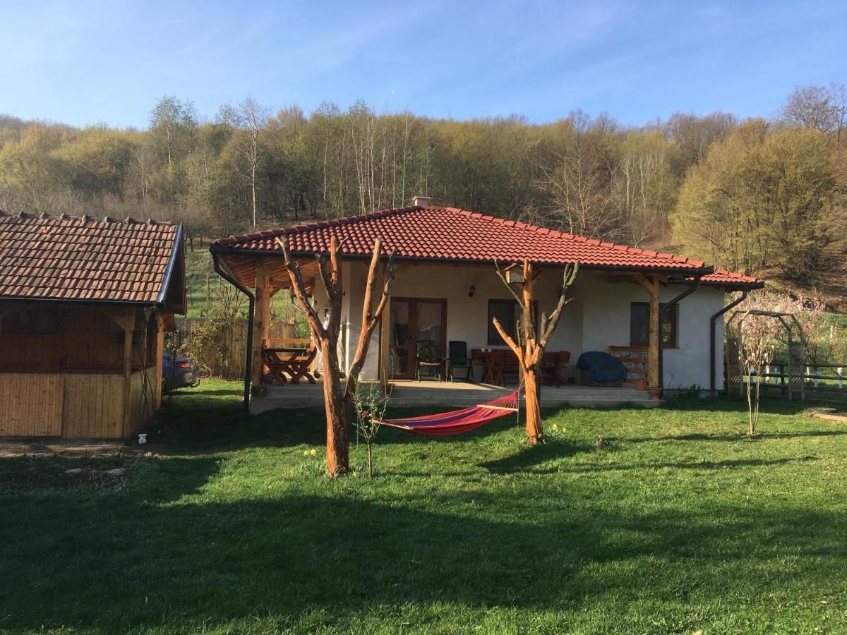 Дома для отпуска Căsuța de sub pădure Ampoiţa-36